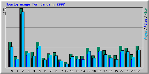Hourly usage for January 2007