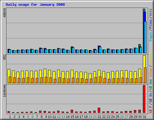 Daily usage for January 2008