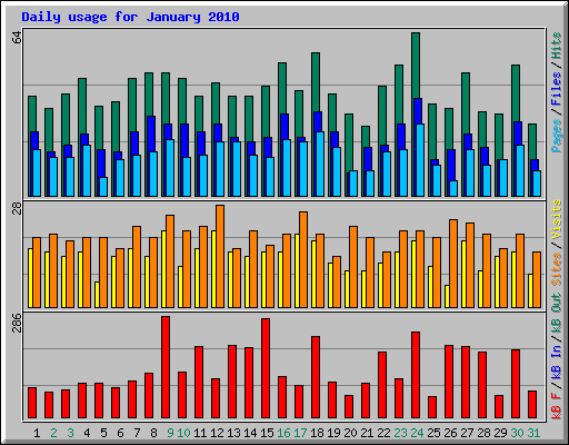 Daily usage for January 2010