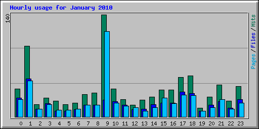 Hourly usage for January 2010