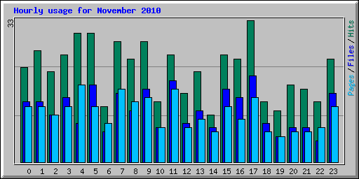 Hourly usage for November 2010