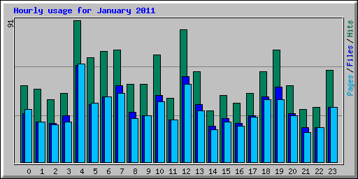 Hourly usage for January 2011