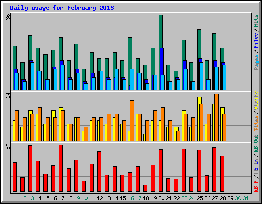 Daily usage for February 2013