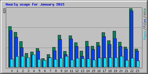 Hourly usage for January 2015