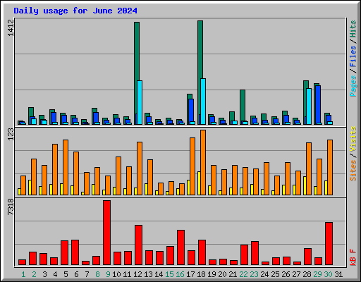 Daily usage for June 2024