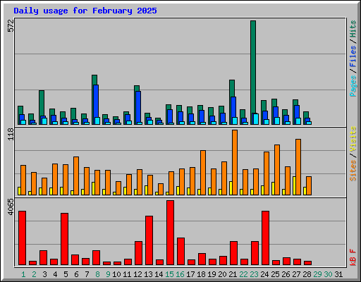 Daily usage for February 2025