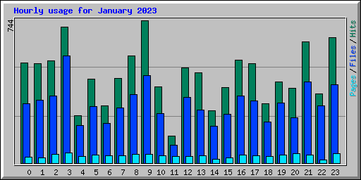Hourly usage for January 2023