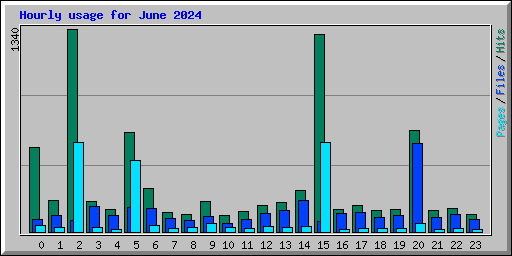 Hourly usage for June 2024