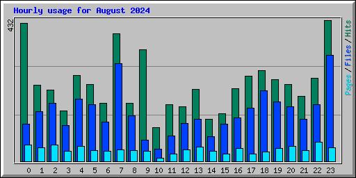 Hourly usage for August 2024