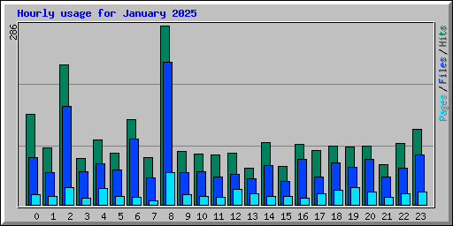 Hourly usage for January 2025