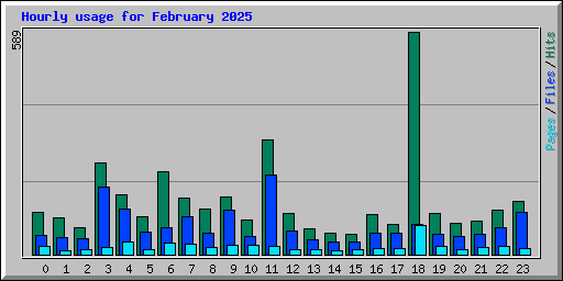 Hourly usage for February 2025