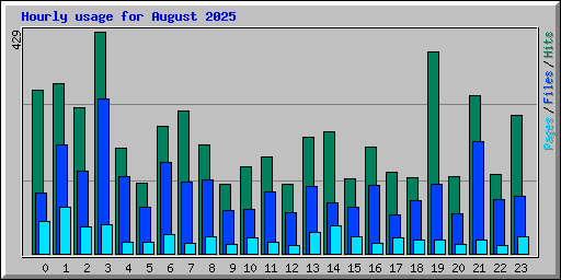 Hourly usage for August 2025