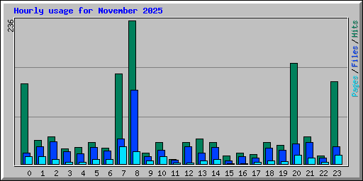 Hourly usage for November 2025