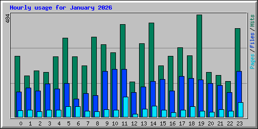 Hourly usage for January 2026