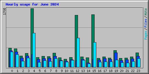 Hourly usage for June 2024