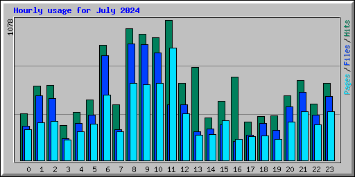 Hourly usage for July 2024