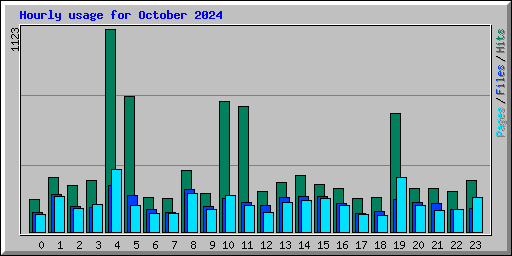 Hourly usage for October 2024