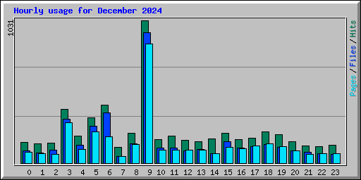 Hourly usage for December 2024