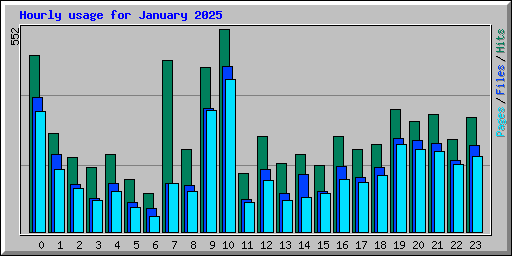 Hourly usage for January 2025