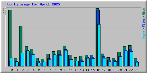 Hourly usage for April 2025