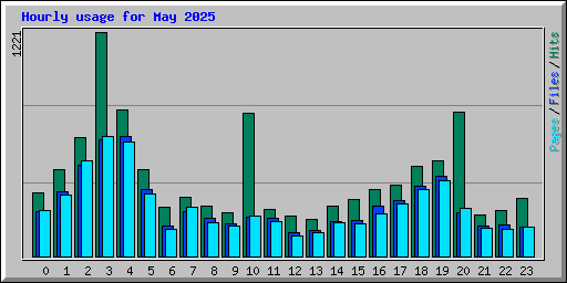 Hourly usage for May 2025