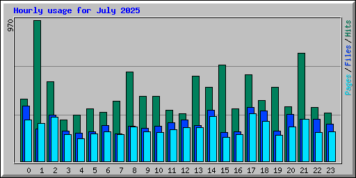 Hourly usage for July 2025