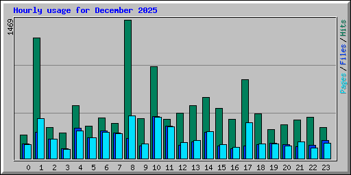 Hourly usage for December 2025