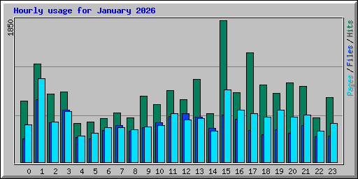 Hourly usage for January 2026