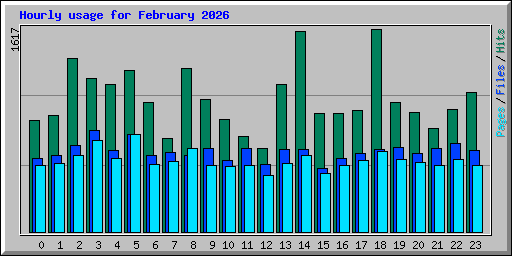 Hourly usage for February 2026