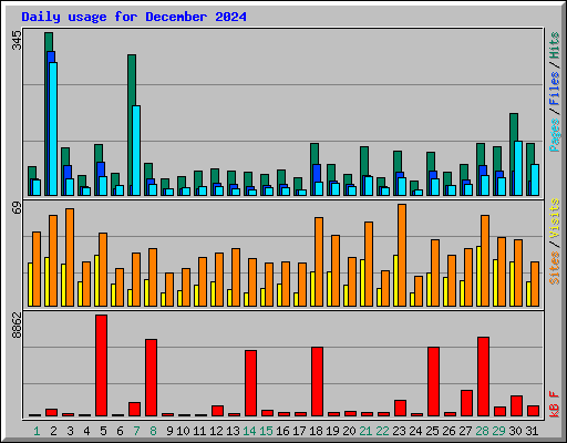 Daily usage for December 2024