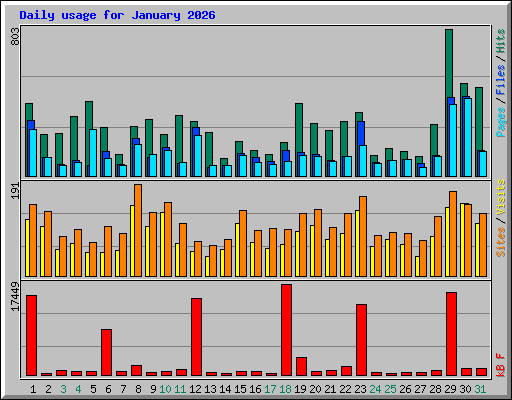 Daily usage for January 2026