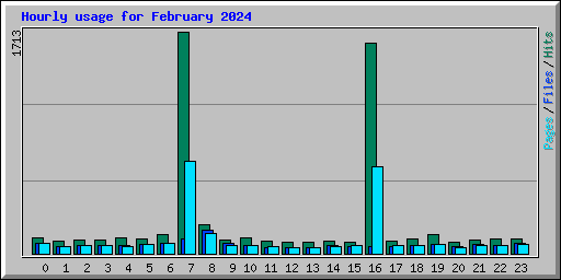 Hourly usage for February 2024