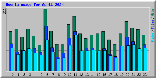 Hourly usage for April 2024