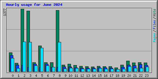 Hourly usage for June 2024