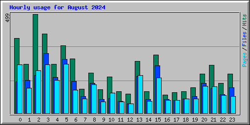 Hourly usage for August 2024