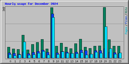 Hourly usage for December 2024