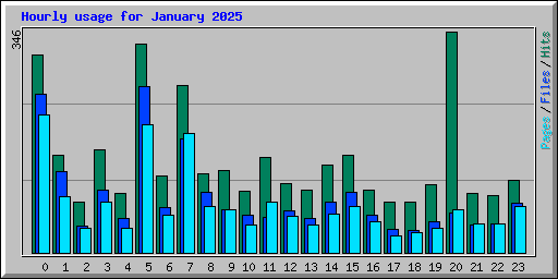 Hourly usage for January 2025