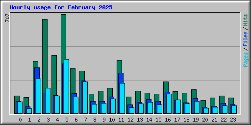 Hourly usage for February 2025