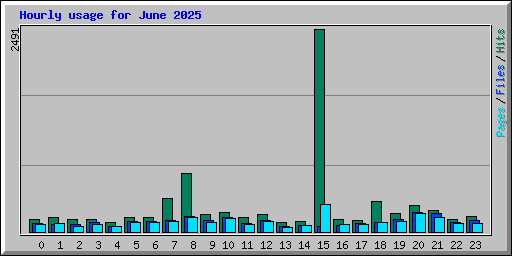 Hourly usage for June 2025