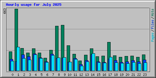 Hourly usage for July 2025