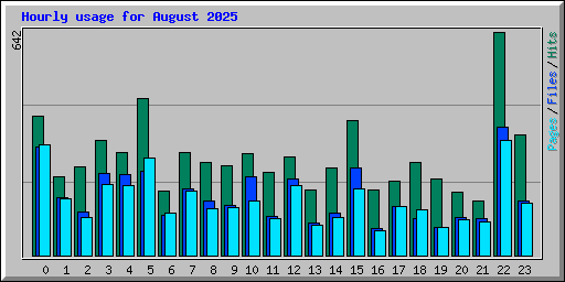 Hourly usage for August 2025