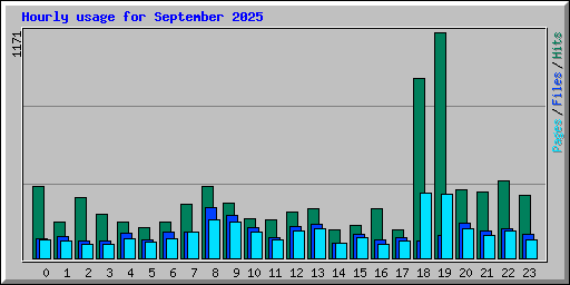 Hourly usage for September 2025