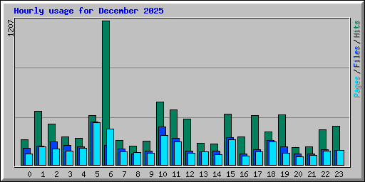 Hourly usage for December 2025