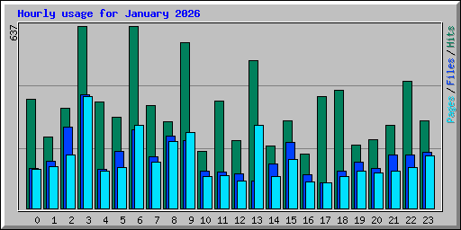 Hourly usage for January 2026