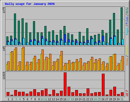 Daily usage for January 2026