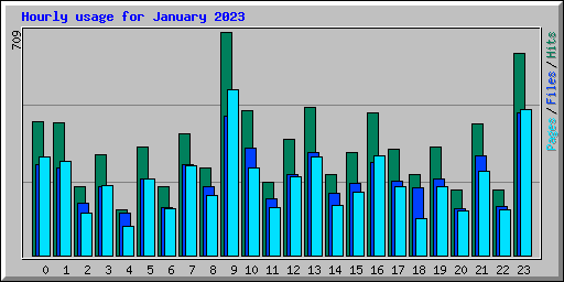 Hourly usage for January 2023