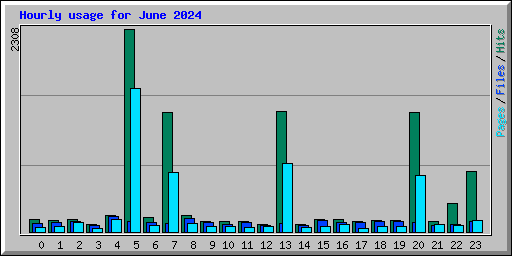 Hourly usage for June 2024