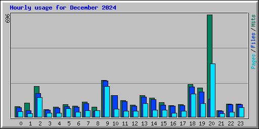 Hourly usage for December 2024