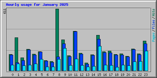 Hourly usage for January 2025
