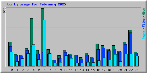 Hourly usage for February 2025